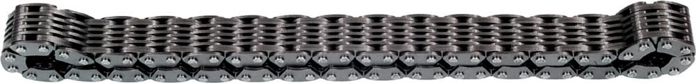 CHAIN CASE CHAIN LINK BELT SILENT 11 WIDE 66 LINKS - Image 1