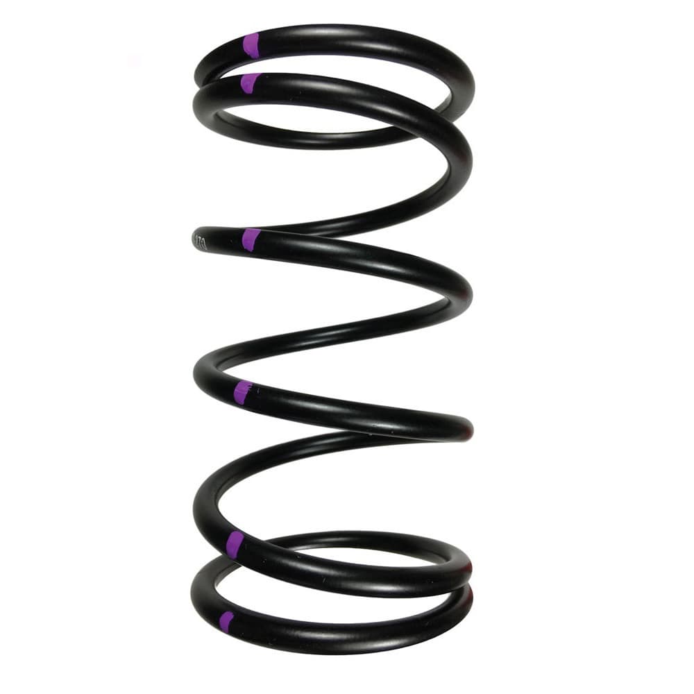 H5 DRIVEN CLUTCH SPRING BLACK/BLUE - Image 4